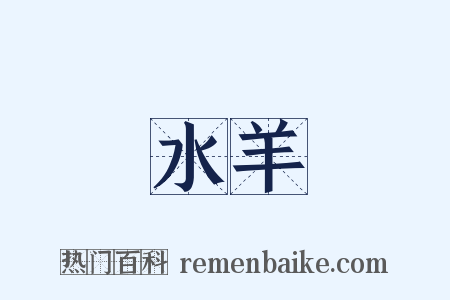 水羊是什么意思的图片